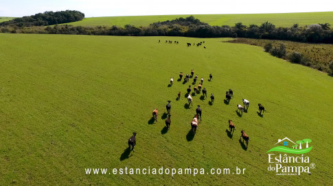 IMAGEM FIXA NA COXILHA.00_01_28_12.Quadro013_c428591f55bb142bc457ef84fdf5ad39a762a3bc.jpg